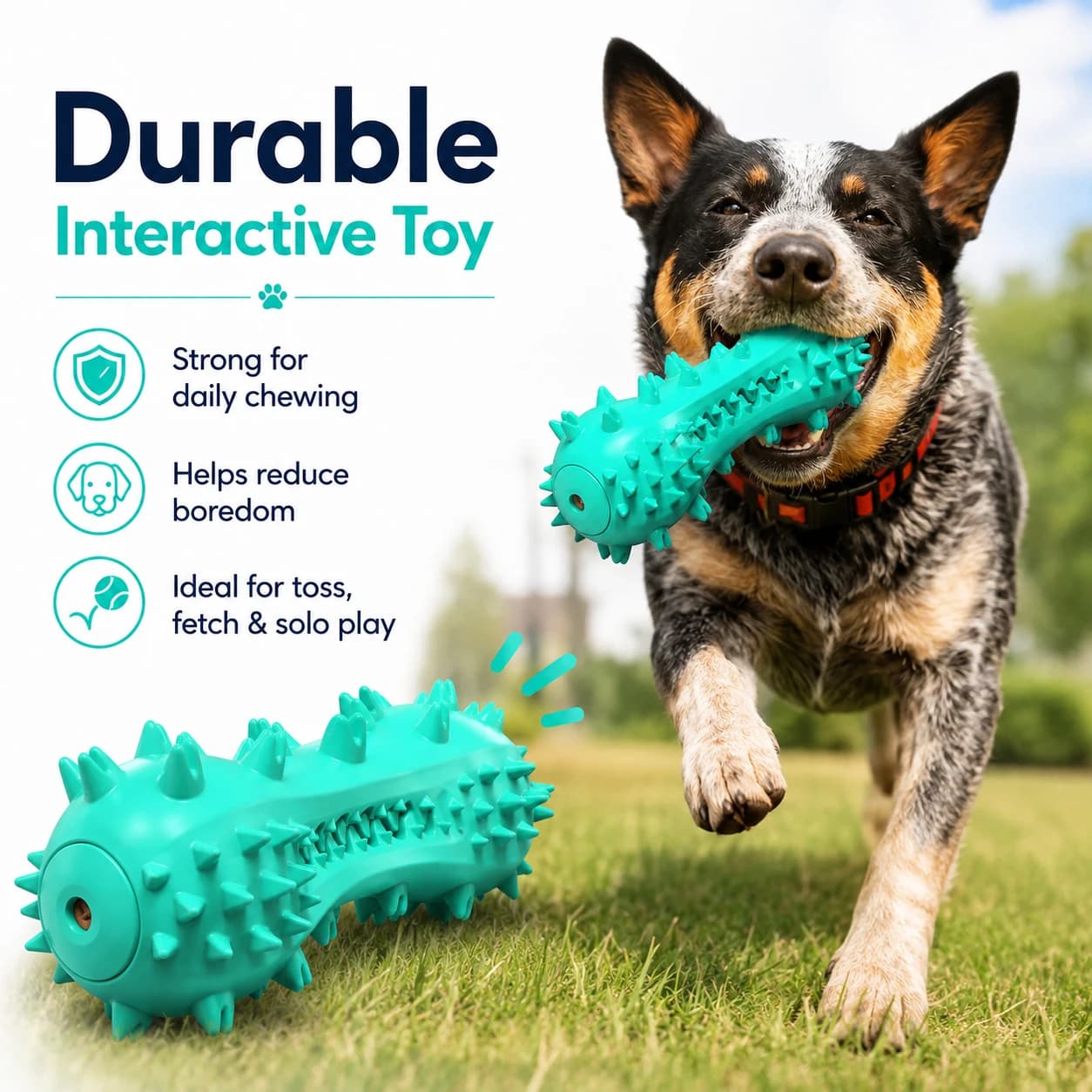 Squeaky Dental Rubber Chew