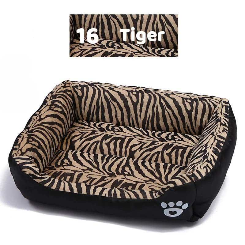 Tigre