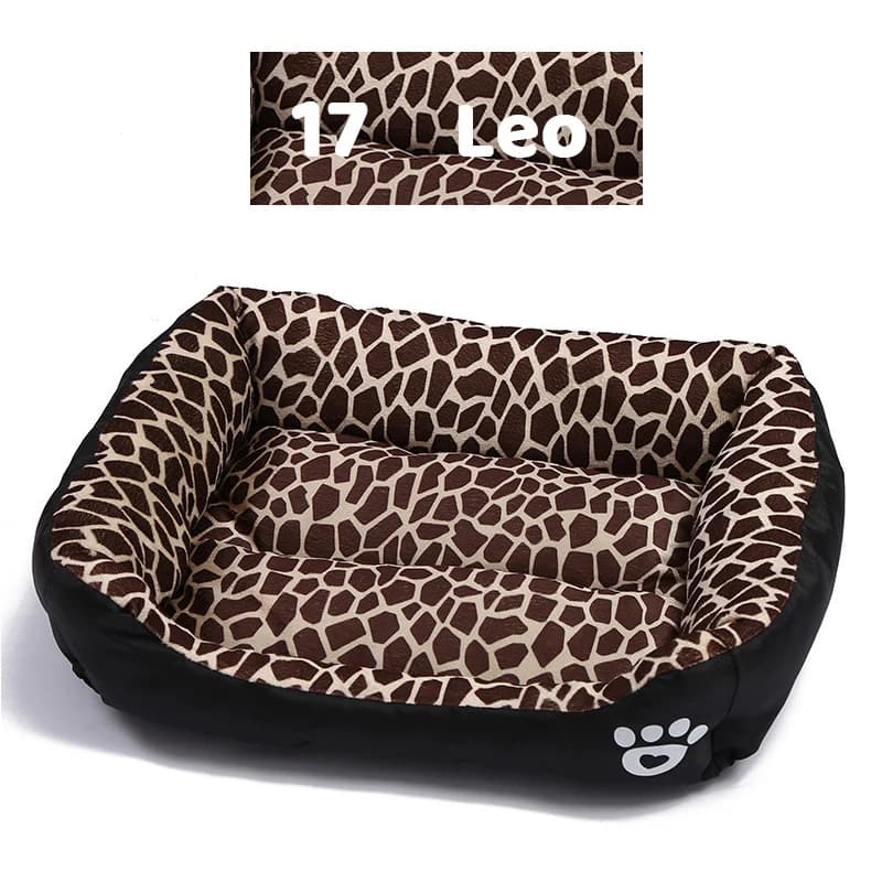 Leo
