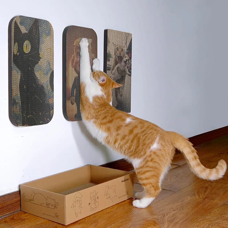 Scratch Box + 5 Refills