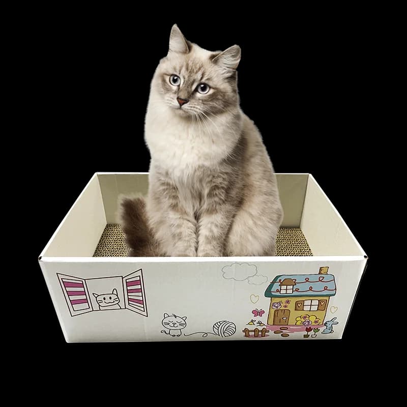 XL Catnip Scratch Box