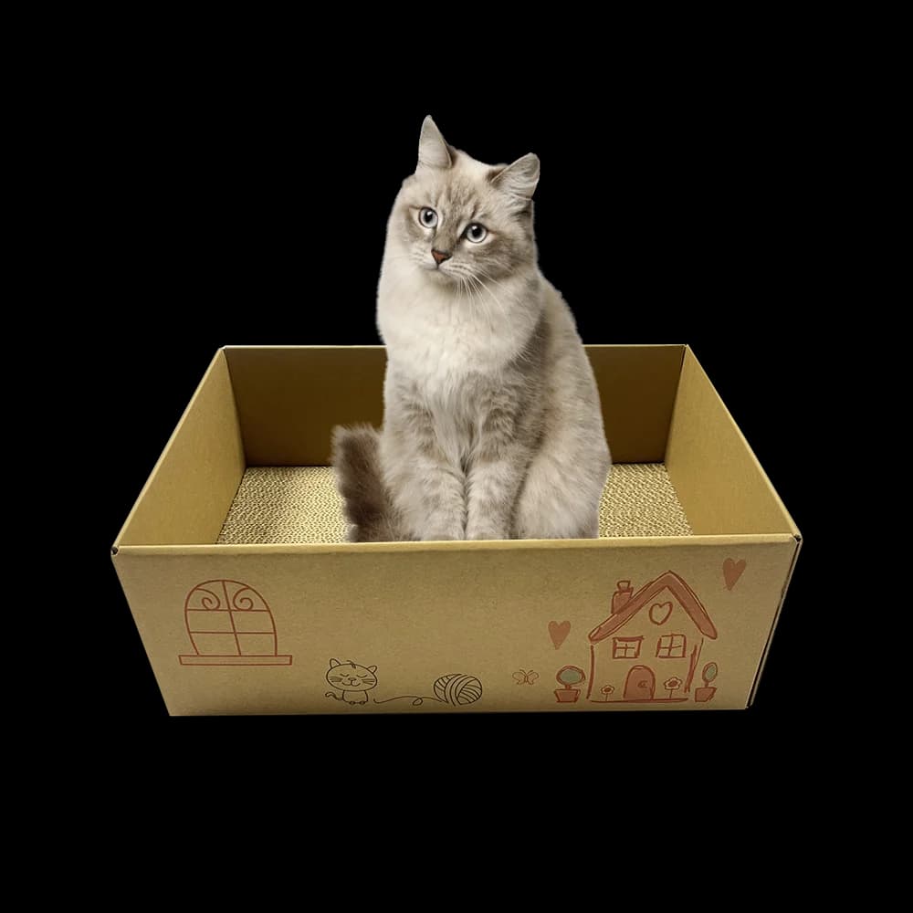 Paper Kraft