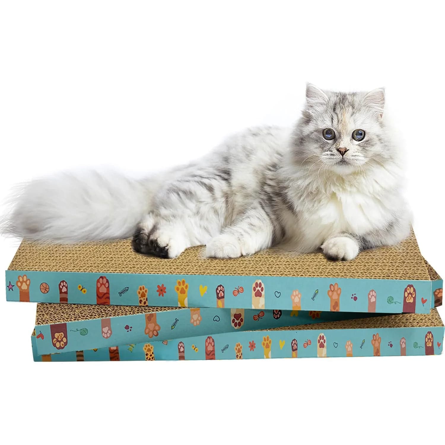 Reversible Scratchers 3-Pack
