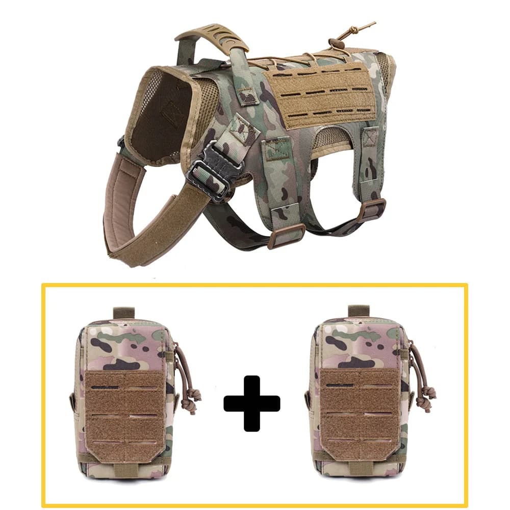 Option 1