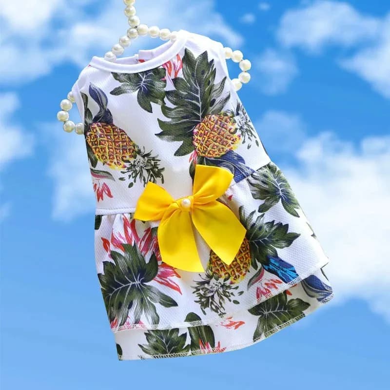 Pineapple dress on white background