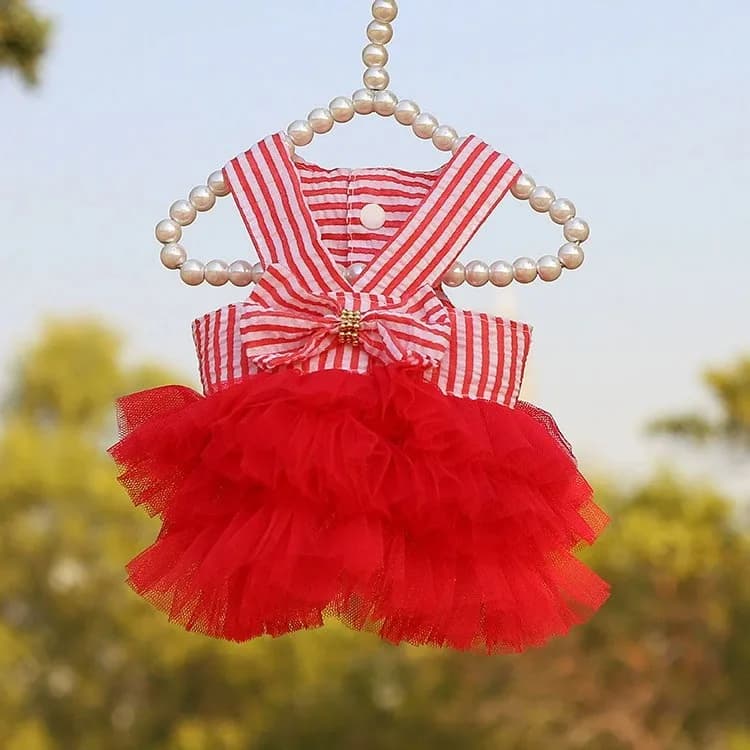 Suspender vertical stripes bright red