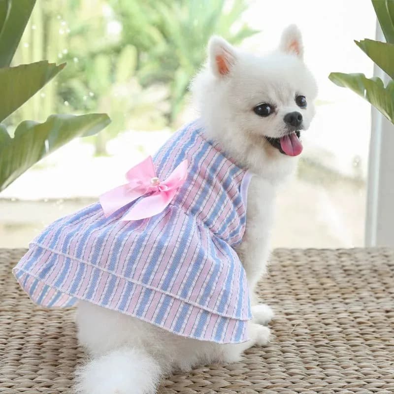 Pink and blue vertical stripe dress