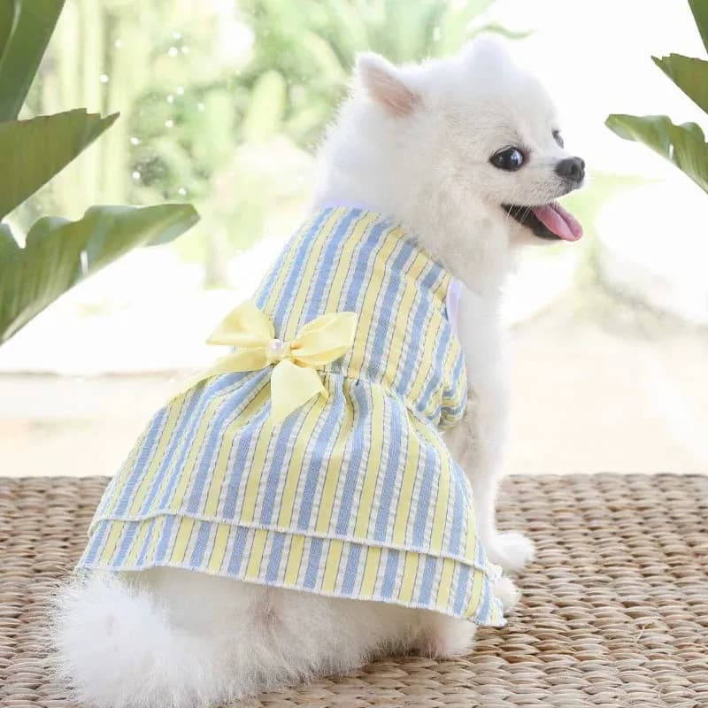 Yellow and blue vertical stripe dress