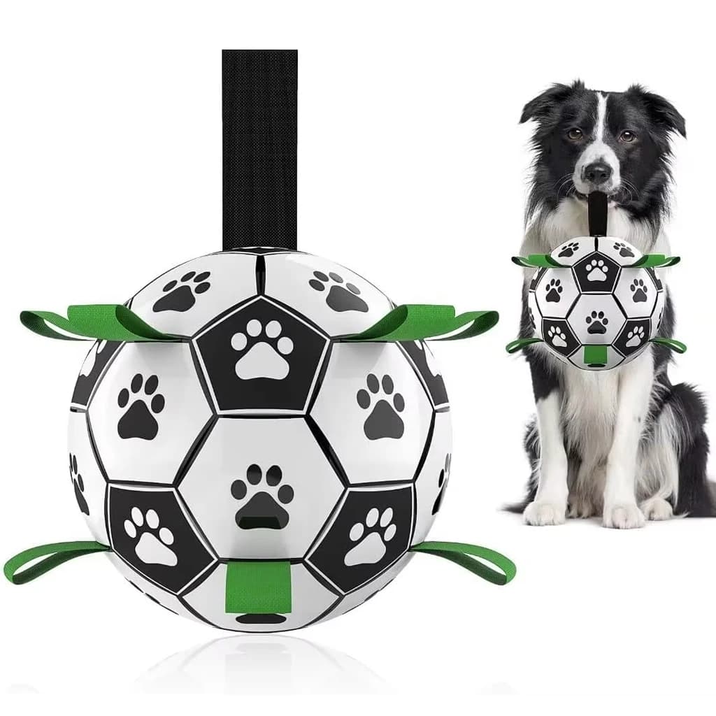 Dog Football