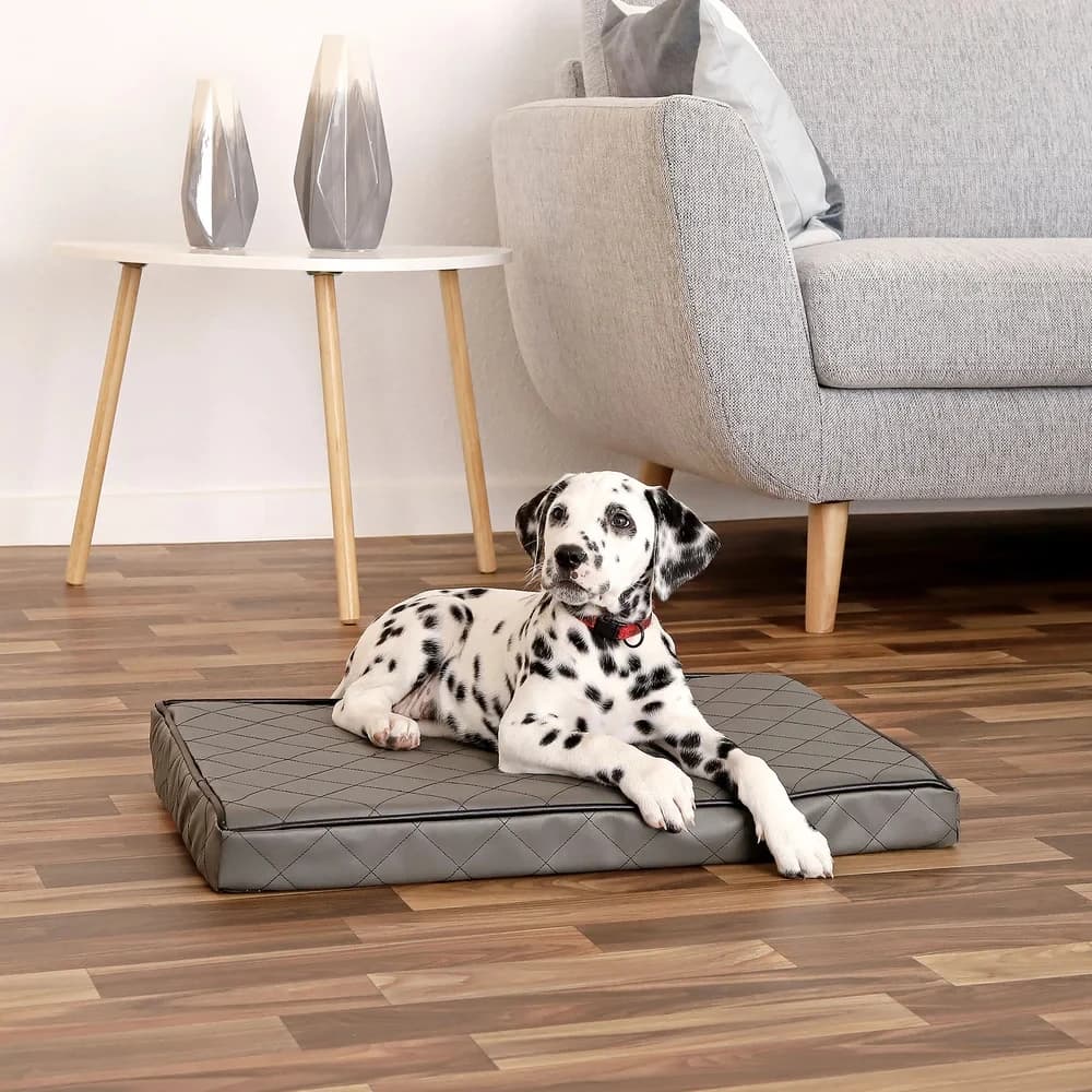 Orthopaedic Memory Foam Bed