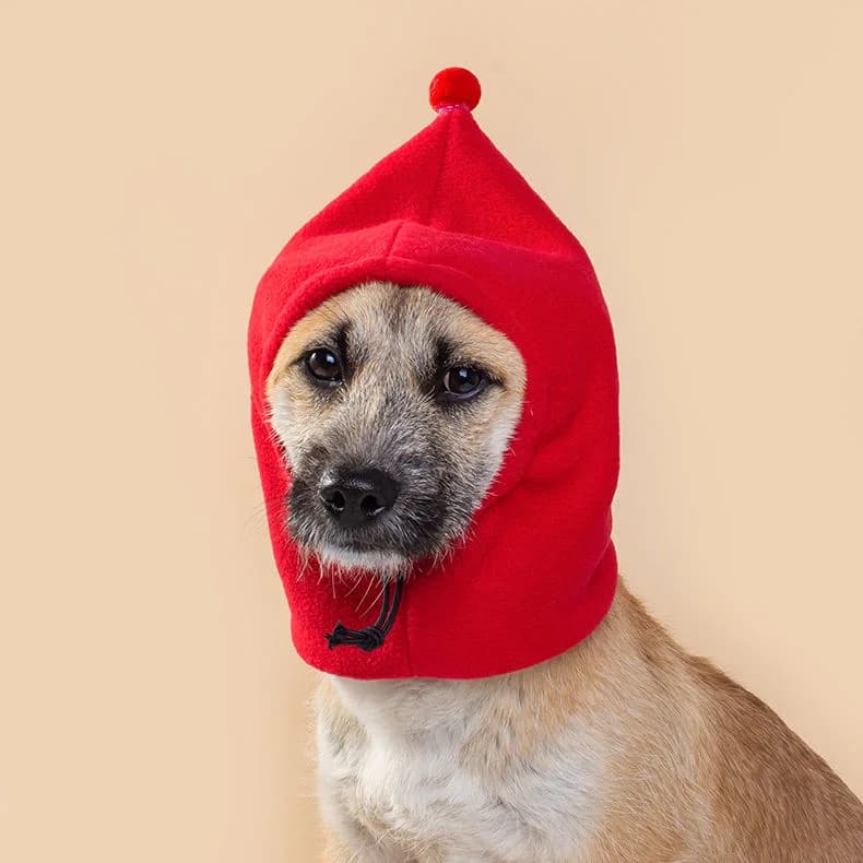 Fleece Cap with Visor