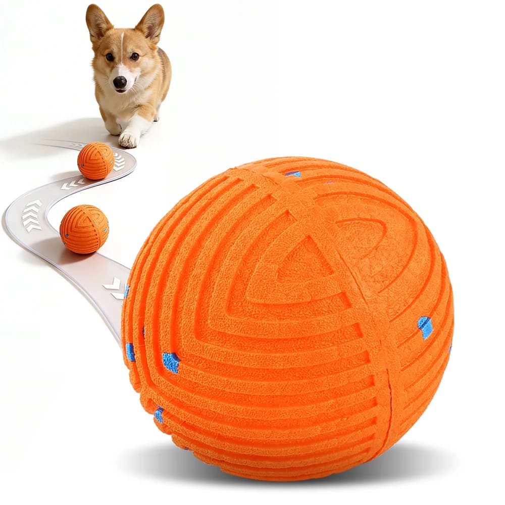 Automatic Dog Ball