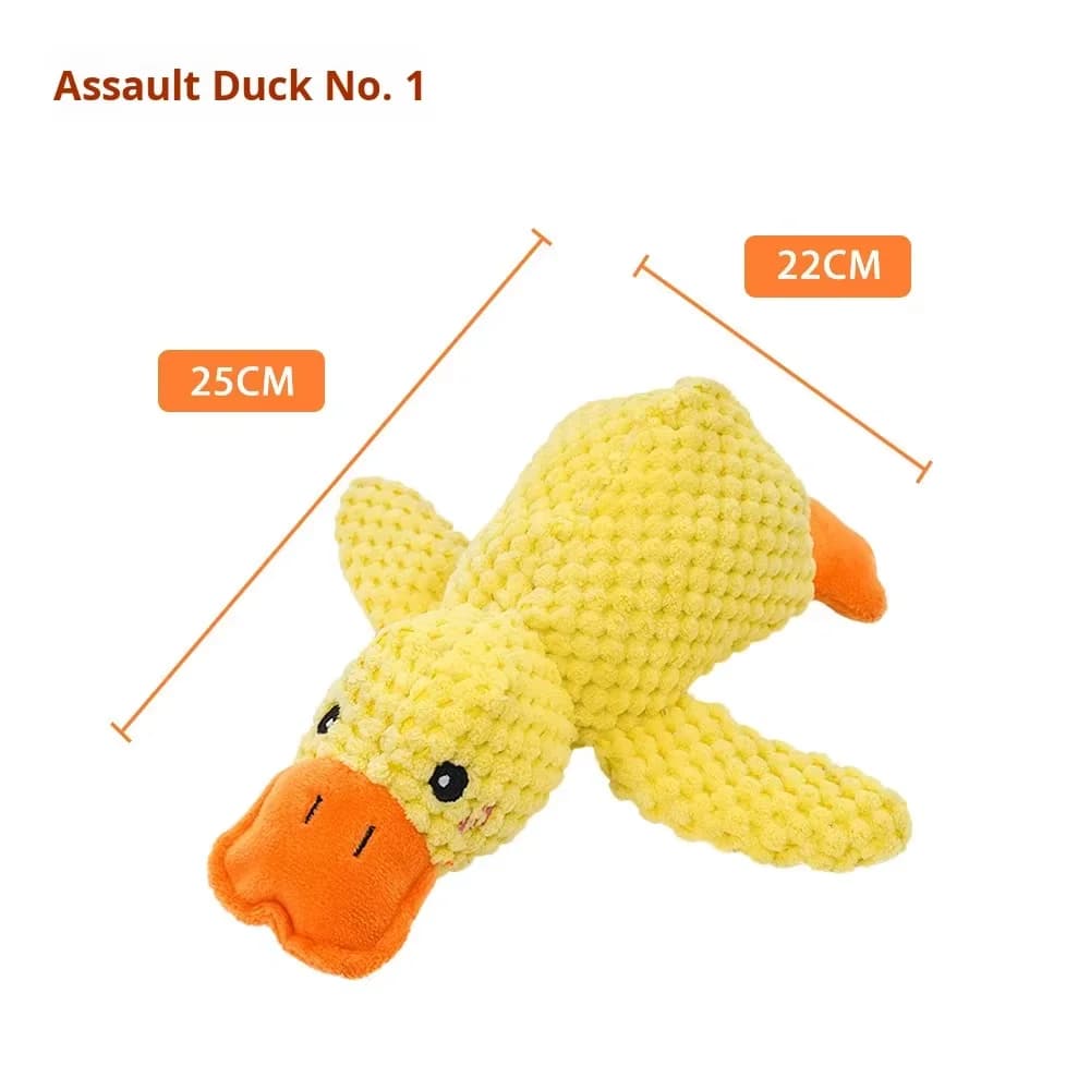 25cm