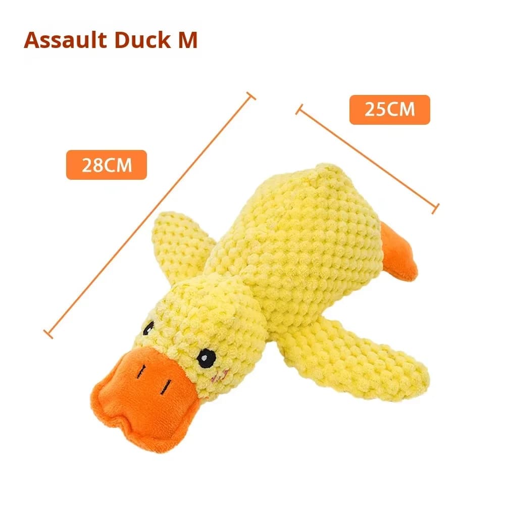 28cm