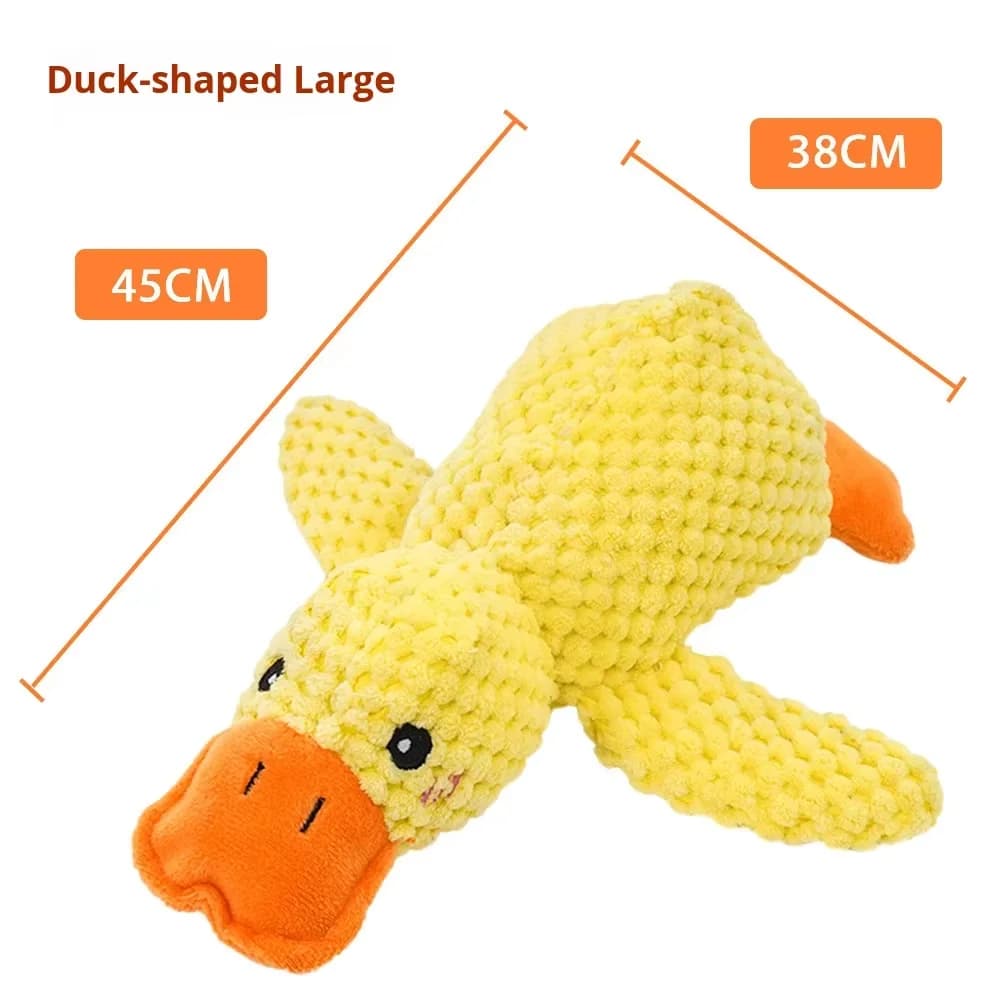 45cm
