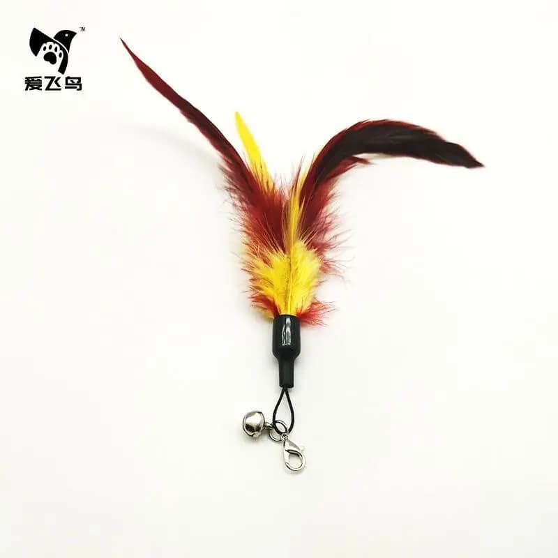 Option 115