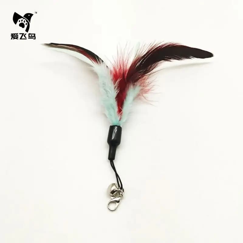 Option 117