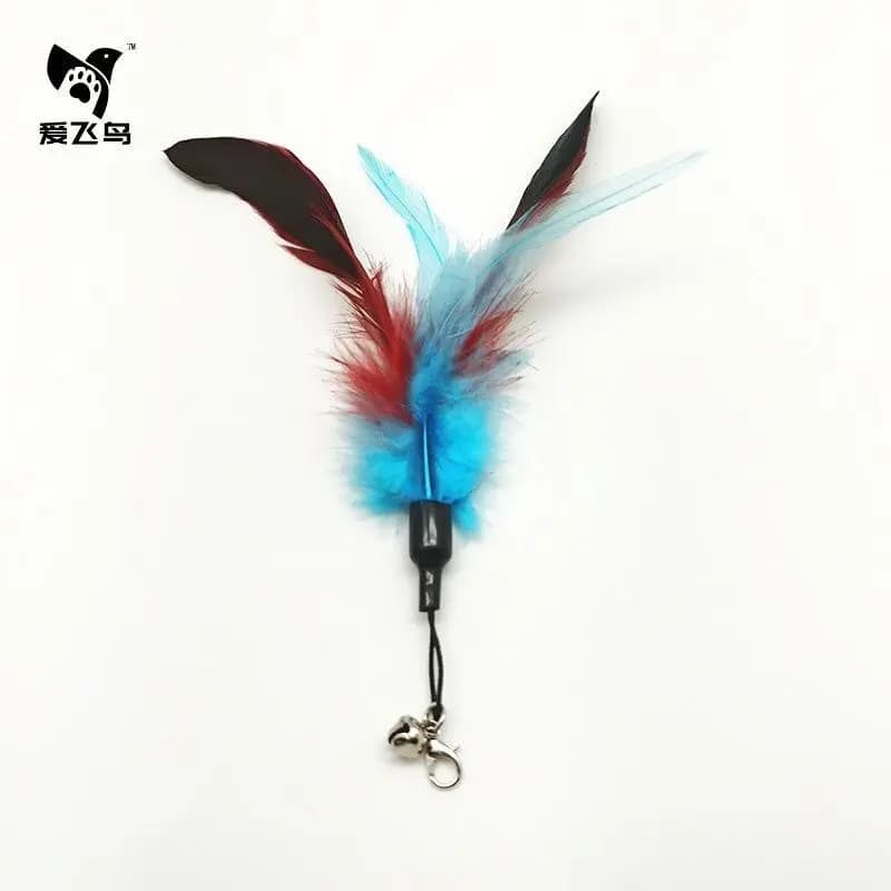 Option 118
