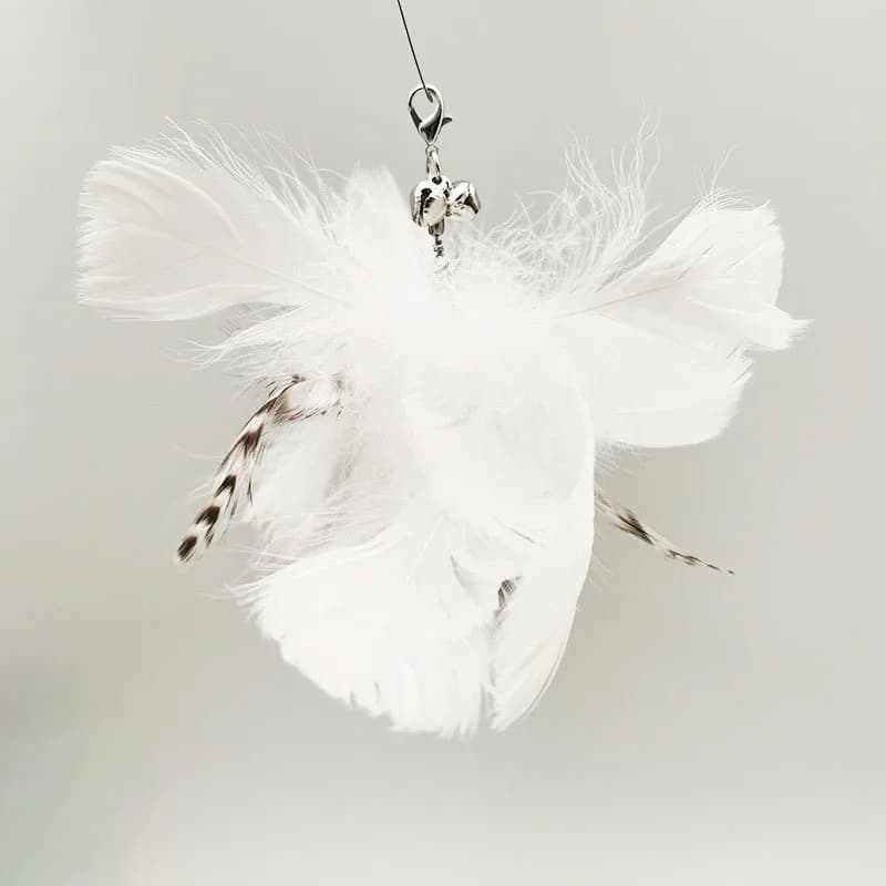 Option 12