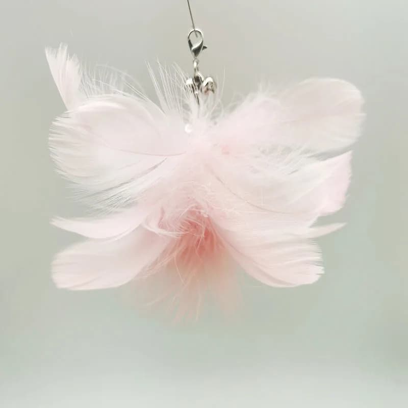 Option 14