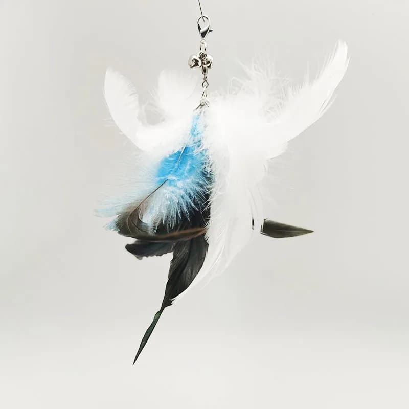 Option 15
