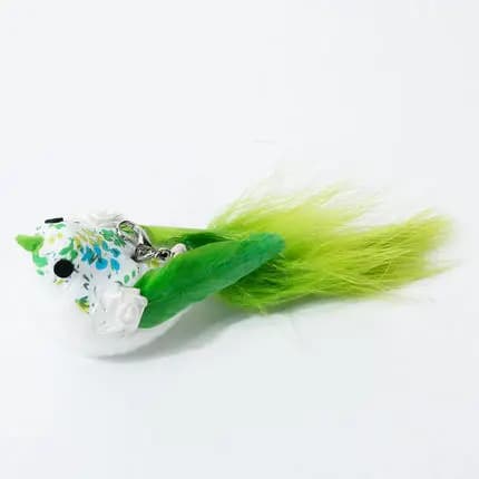 Option 19
