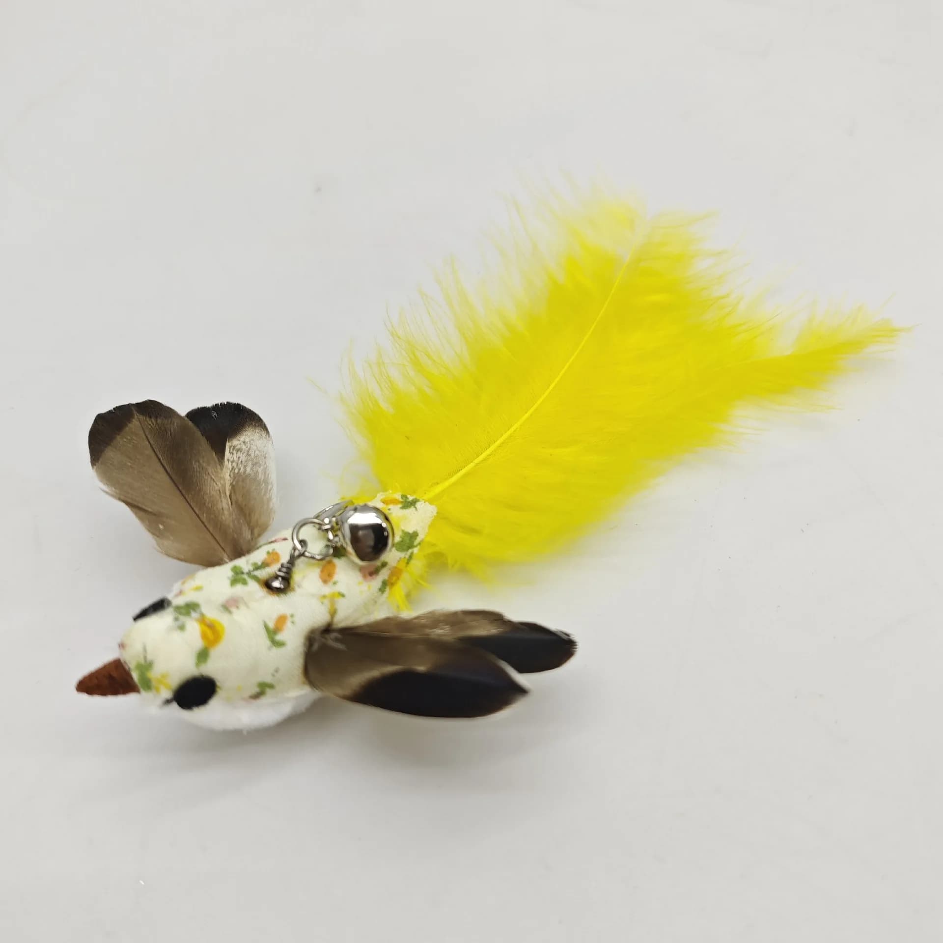 Option 25