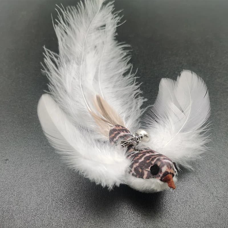 Option 6