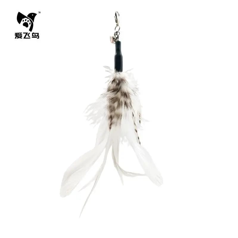 Option 64