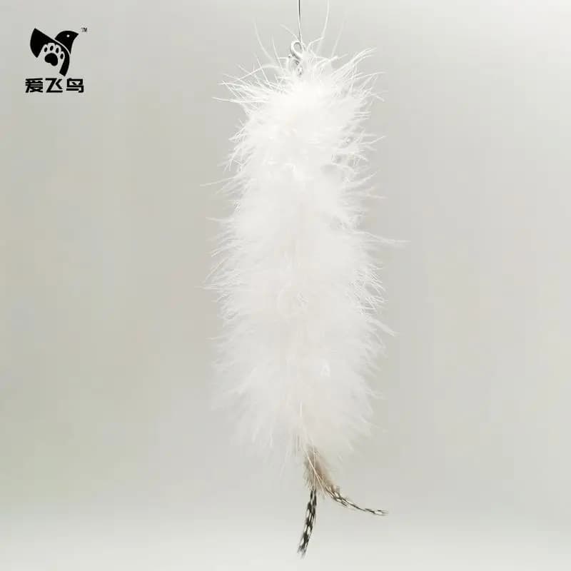 Option 71