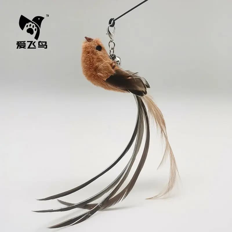 Option 8