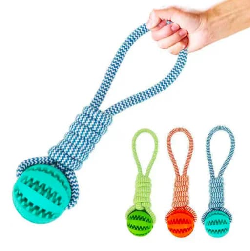 IQ Treat Ball with Rope