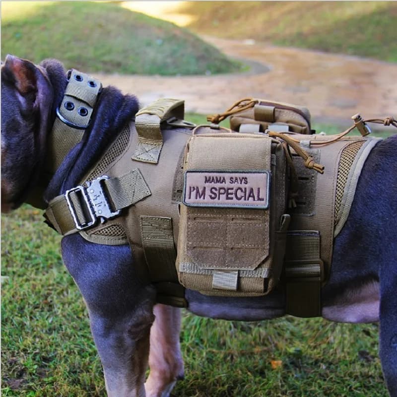 Tactical Vest with Pouches