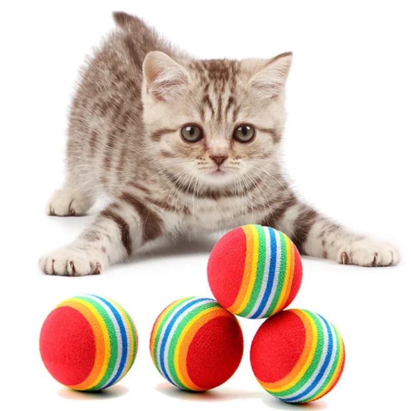 Rainbow EVA Balls