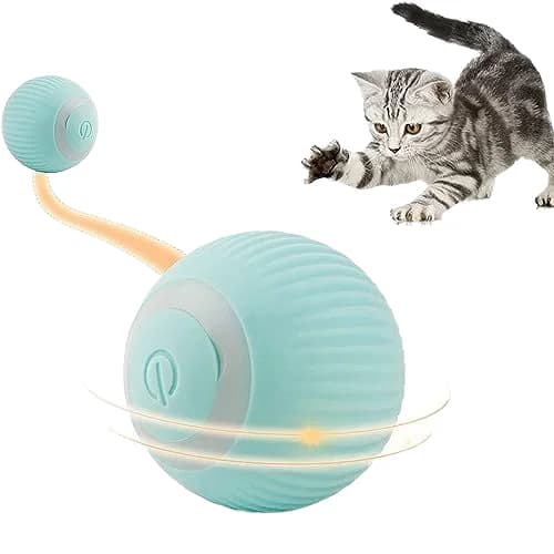 Automatic Cat Ball