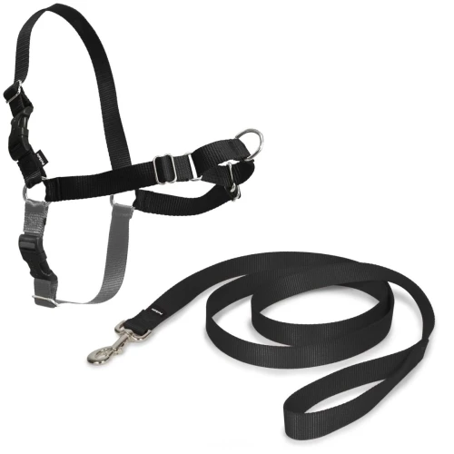 Arnes easy walk mediano. negro