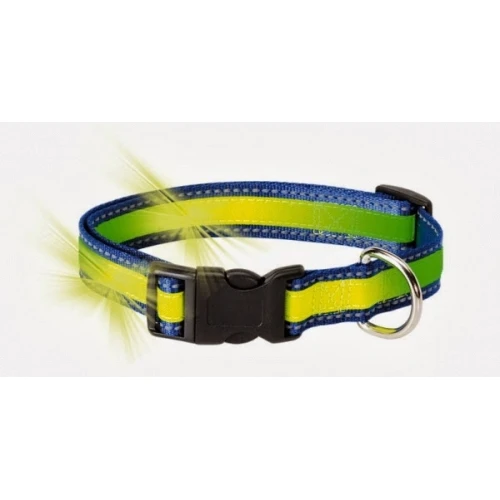 Collar fosforescente y reflectante