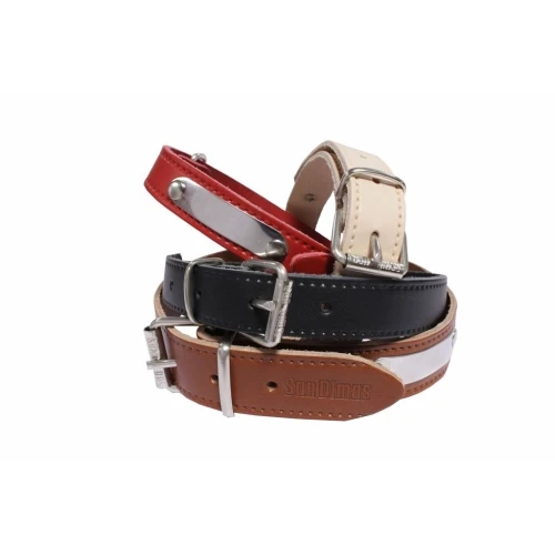 Collar cuero con placa 35MM 65cm.rojo