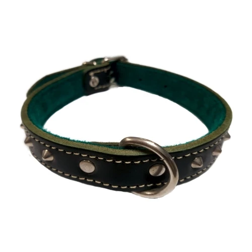 Collar c/adorno 20x450 verde