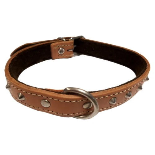 Collar c/adorno 20x450 tosta
