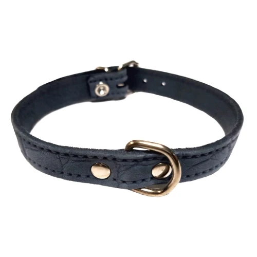 Collar piel labrado 15x350 azul