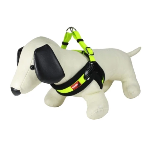 Arnes dog vest xs. verde