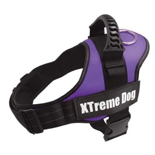 Arnes xtreme dog lila S (50-64cm)