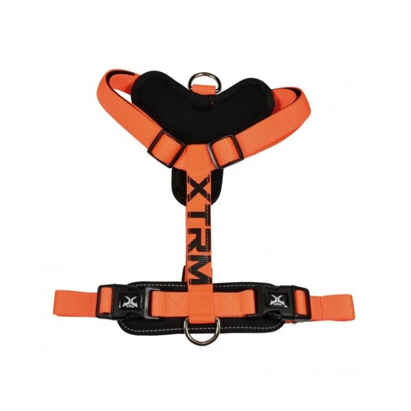Arnes x-trm cronos neon flash. naranja