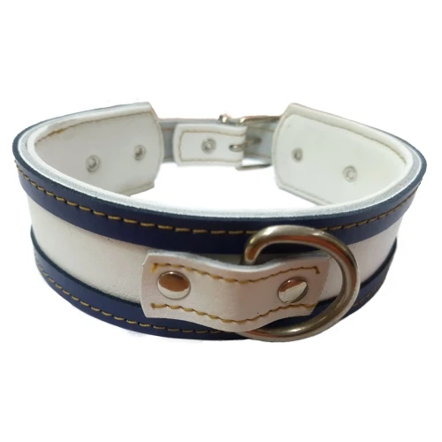 Collar galgo blanco borde azul 35x4cm