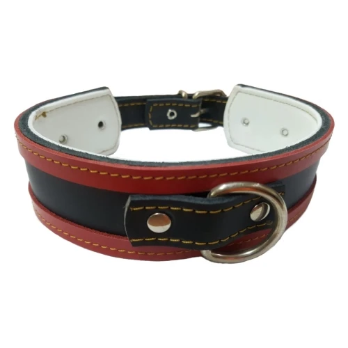 Collar galgo negro borde rojo 50x4cm