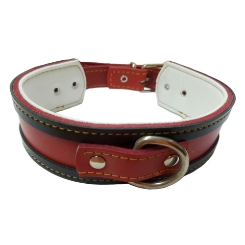 Collar galgo rojo borde negro 35x4cm