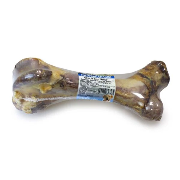 Hueso de buey mamut