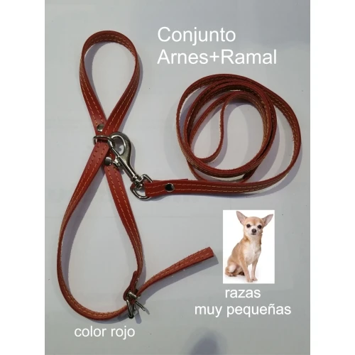 Arnes y amarre cuero razas pequeñas. rojo