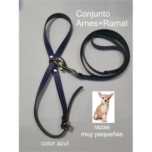 Arnes y amarre razas pequeñas. azul